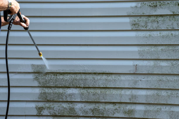 Affordable siding repair and maintenance services in Cameron, WI